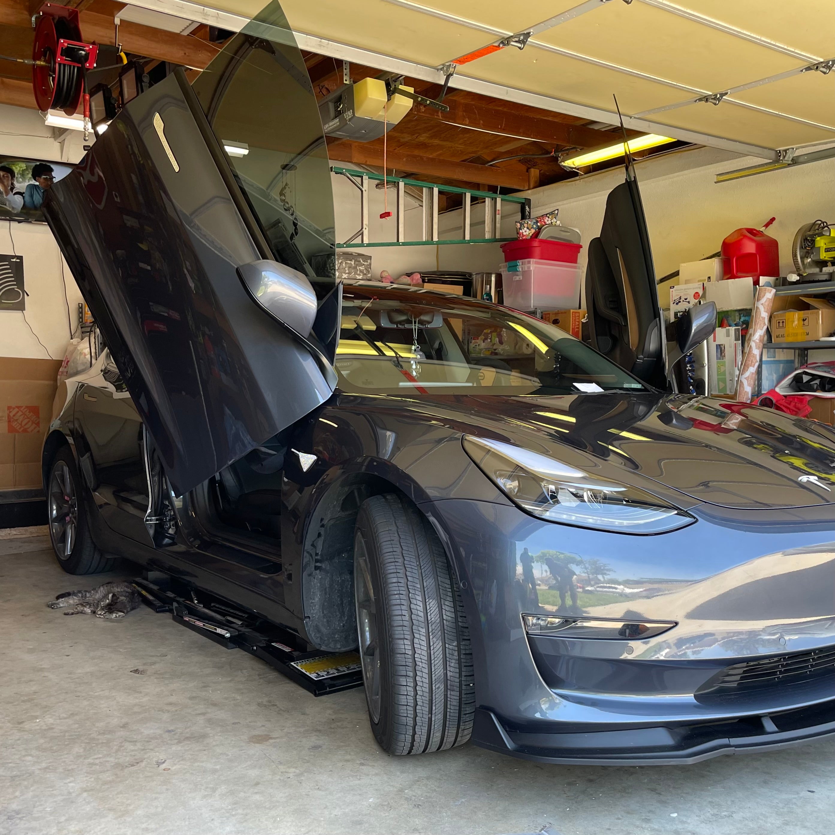 THOMIX Auto Door Projektolicht Willkommenslicht für Tesla Model Y