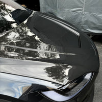 Model X Viento Robot Hood - Dual Layer with Xpel Clear Bra- Dry Molded Carbon Fiber