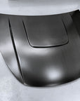 Model Y Viento Formula One Hood - Dual Layer with Xpel Clear Bra- Real Molded Carbon Fiber