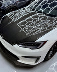 Model S Viento Robot Hood - Dual Layer with Xpel Clear Bra- Dry Molded Carbon Fiber