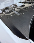 Model S Viento Robot Hood - Dual Layer with Xpel Clear Bra- Dry Molded Carbon Fiber