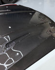 Model S Viento Robot Hood - Dual Layer with Xpel Clear Bra- Dry Molded Carbon Fiber