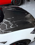 Model S Viento Robot Hood - Dual Layer with Xpel Clear Bra- Dry Molded Carbon Fiber