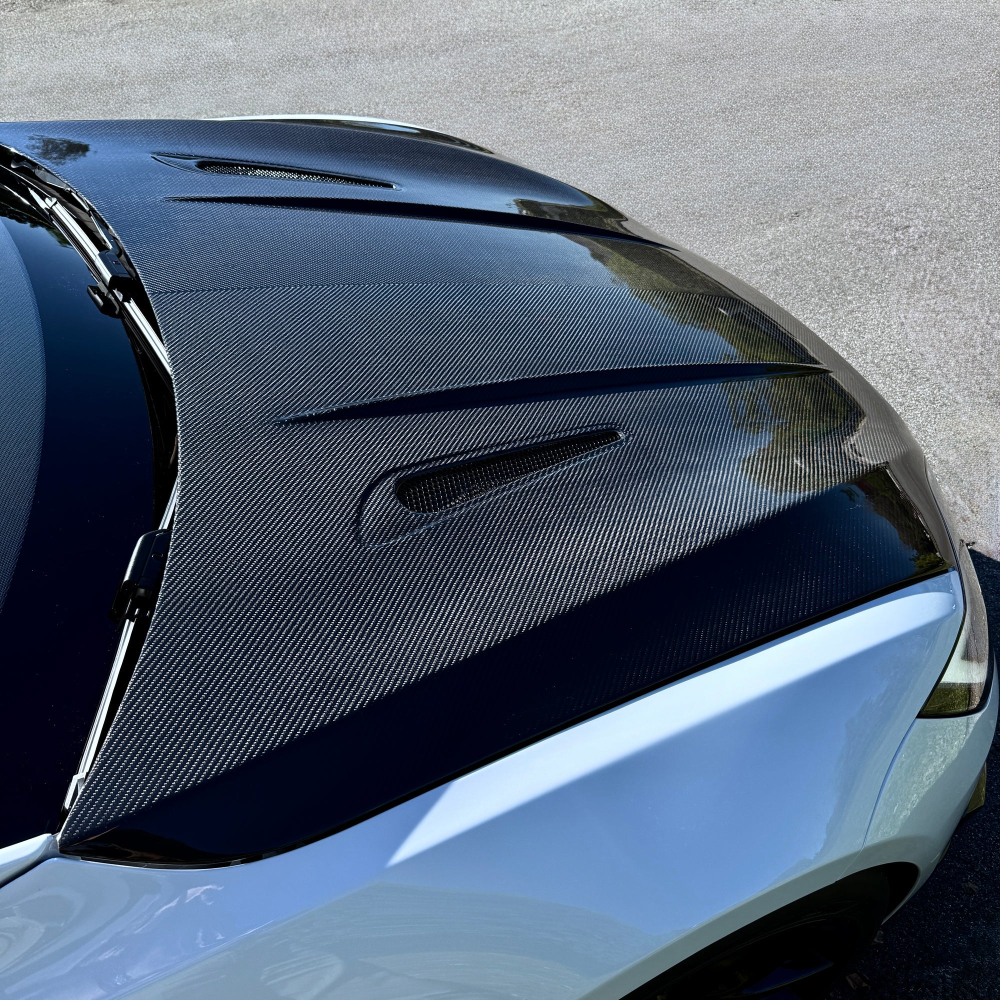 Model S Viento Robot Hood - Dual Layer with Xpel Clear Bra- Dry Molded Carbon Fiber