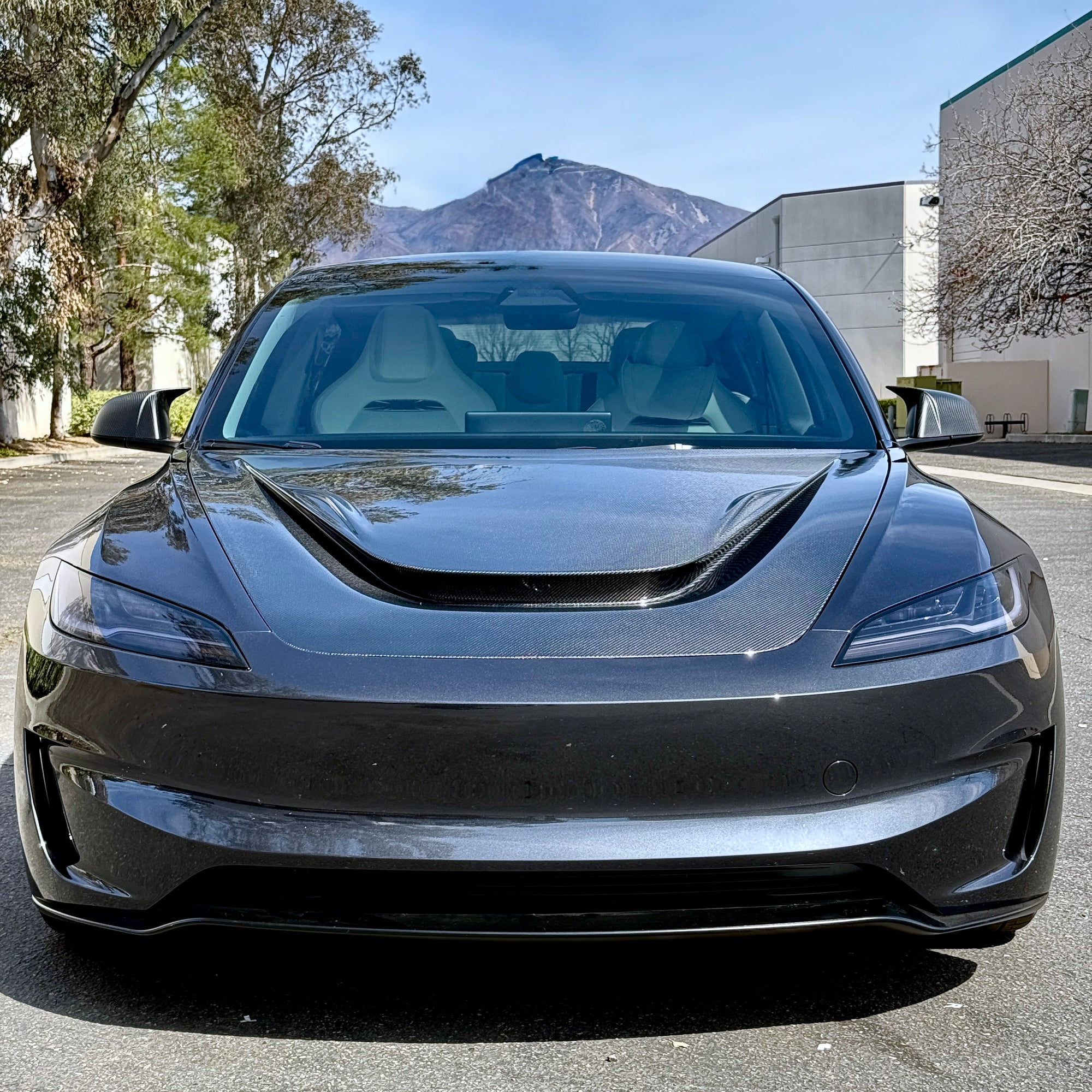 2024+ | Model 3 Highland Serpent Hood - Dual Layer with Xpel Clear Bra- Real Molded Carbon Fiber