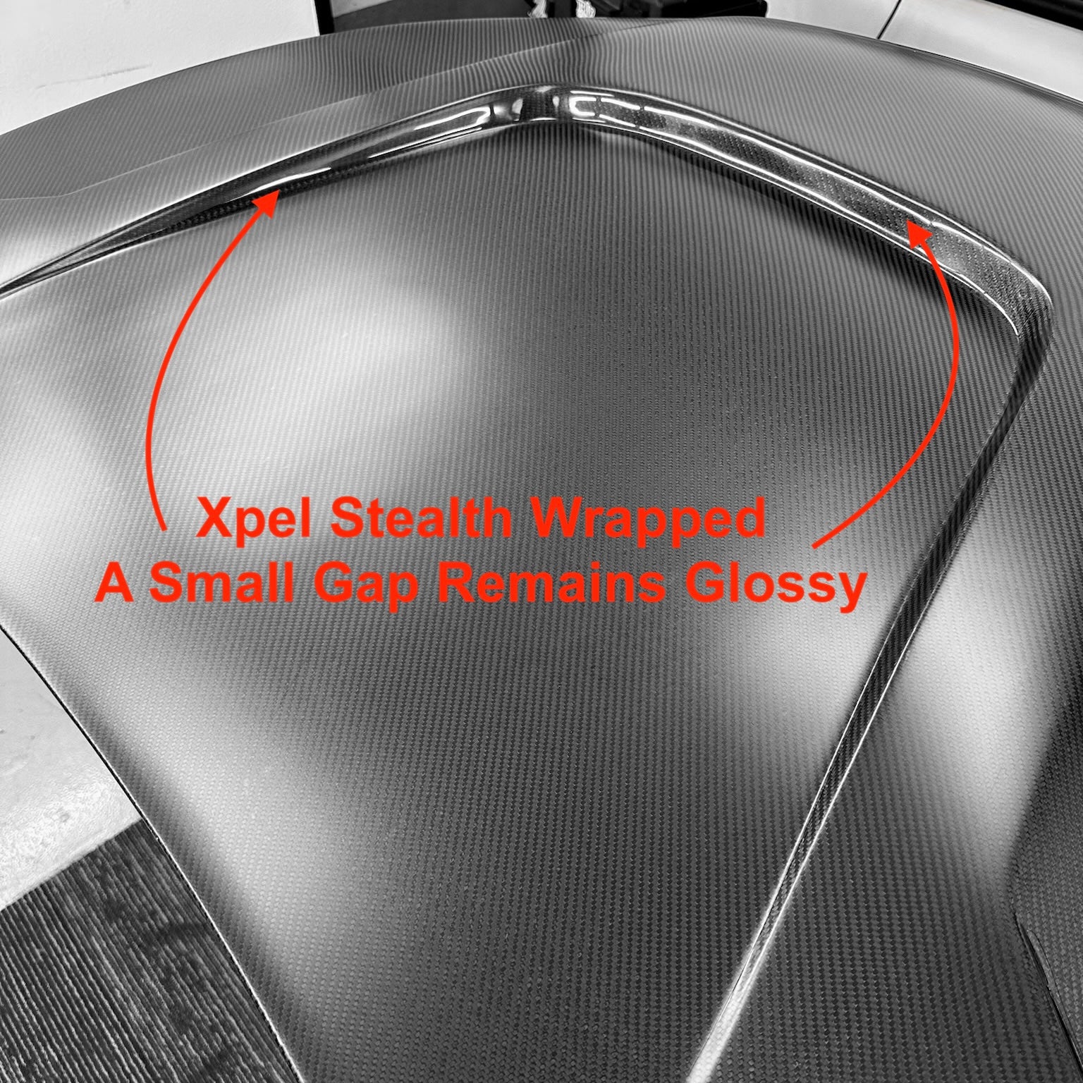 Model Y Viento Robot Hood - Dual Layer with Xpel Clear Bra- Real Molded Carbon Fiber