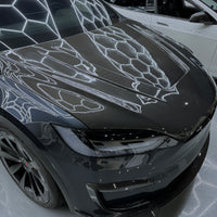 Model X Viento Robot Hood - Dual Layer with Xpel Clear Bra- Dry Molded Carbon Fiber