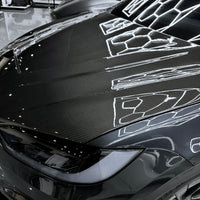 Model X Viento Robot Hood - Dual Layer with Xpel Clear Bra- Dry Molded Carbon Fiber