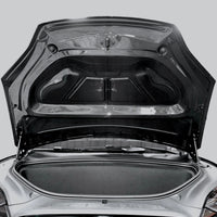 Model X Viento Robot Hood - Dual Layer with Xpel Clear Bra- Dry Molded Carbon Fiber