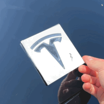 EV VISH 3D Tesla Front Rear T Emblem Logo Badge for Model 3/Y - Black -  FULL KIT