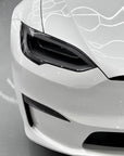 Model S Headlight & Fog Light Protection Film (Set of 4) - Clear or Smoked