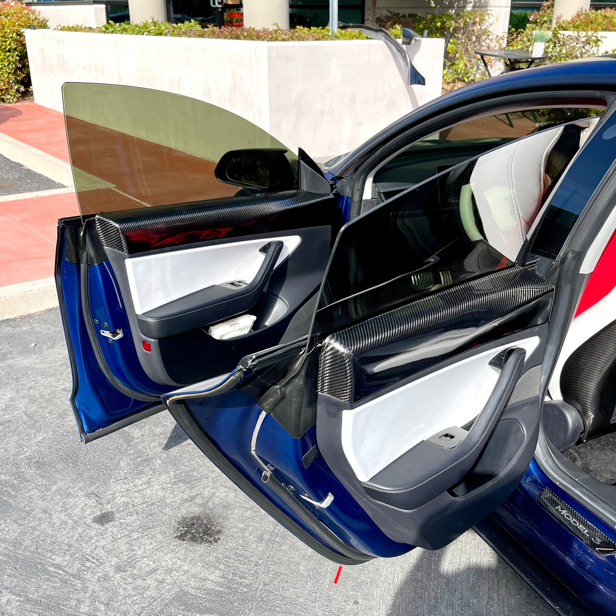 Model 3 Rear Door Panel Overlays - Real Molded Carbon Fiber