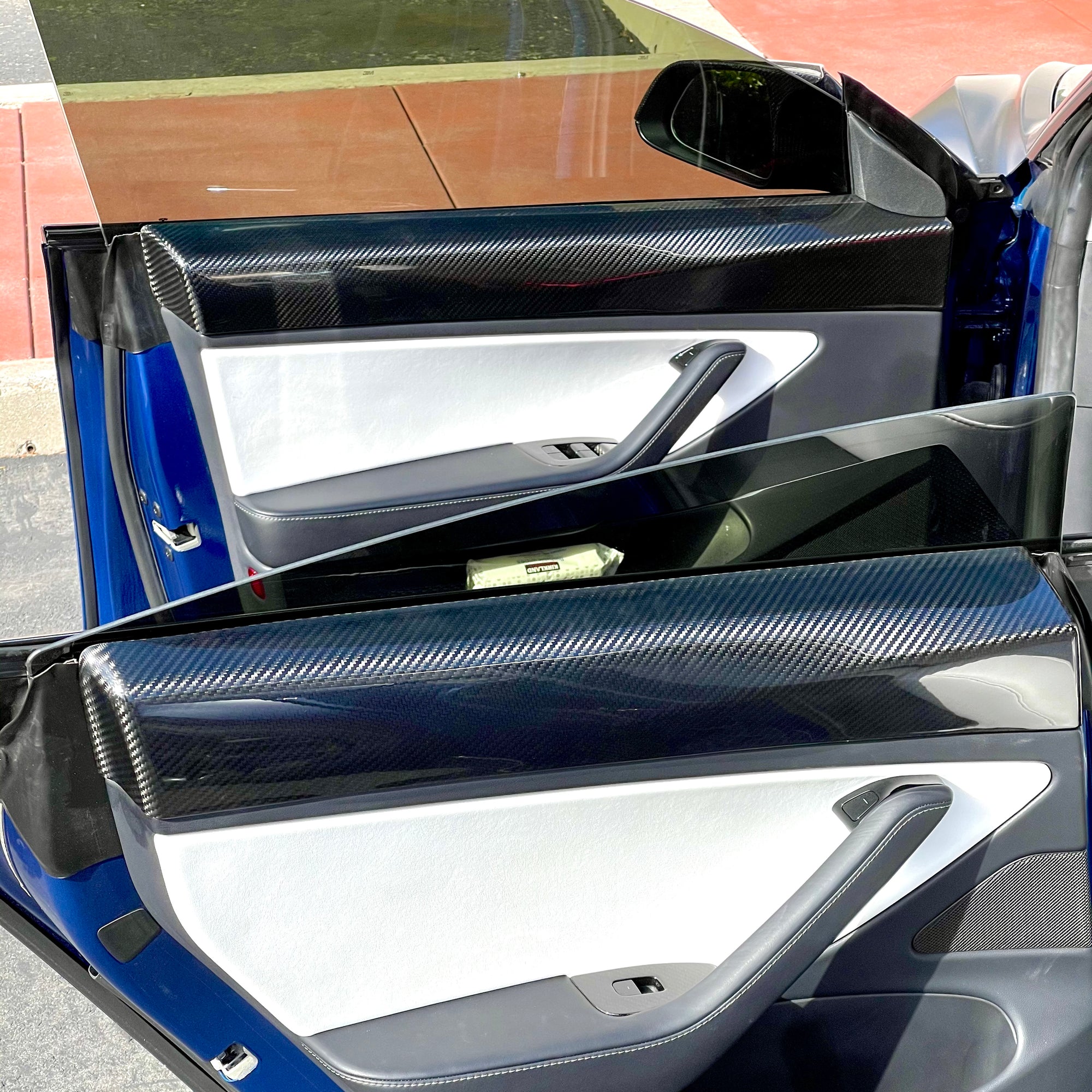 Model 3 Rear Door Panel Overlays - Real Molded Carbon Fiber