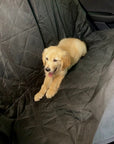 Backseat Pet Cover with Leash