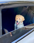 Backseat Pet Cover with Leash