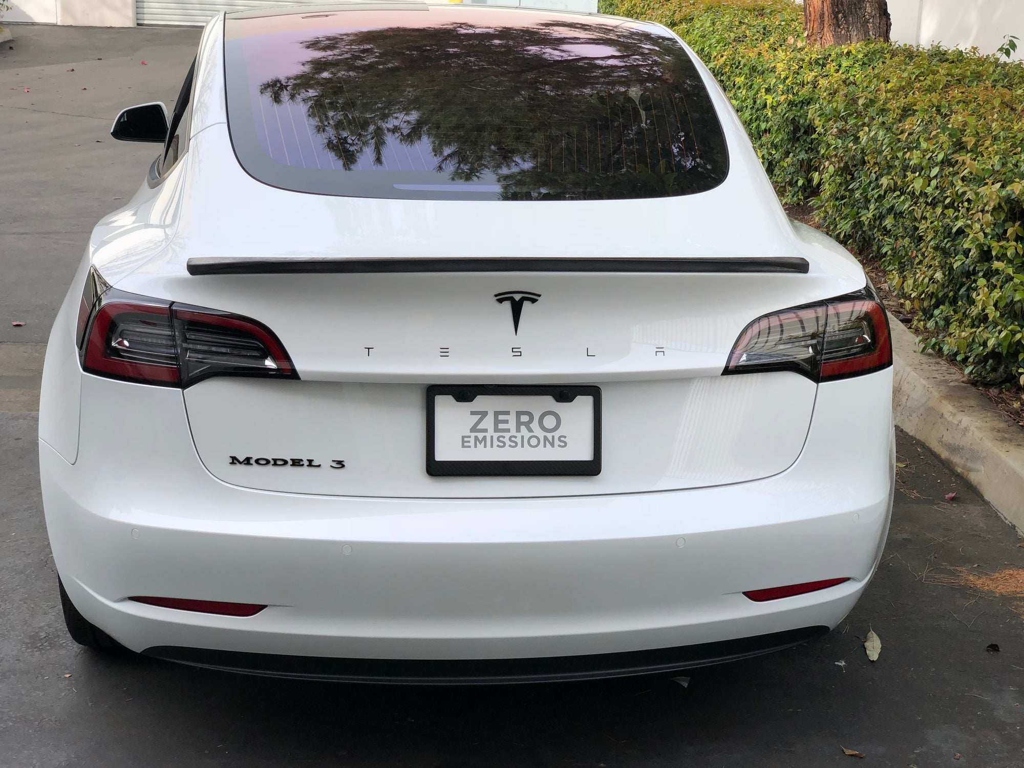 Model 3 &amp; Y Tailgate Applique TESLA Letters (Franz Style)